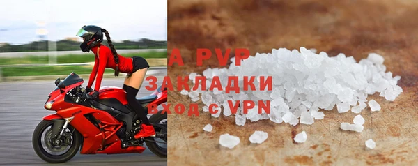 PSILOCYBIN Горно-Алтайск