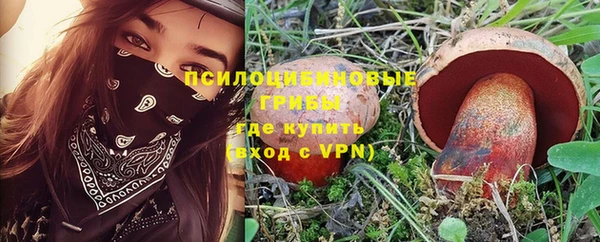 PSILOCYBIN Горно-Алтайск