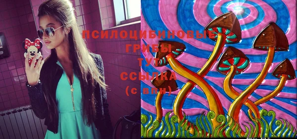 PSILOCYBIN Горно-Алтайск
