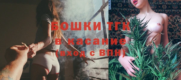 PSILOCYBIN Горно-Алтайск