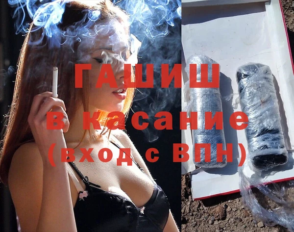 PSILOCYBIN Горно-Алтайск
