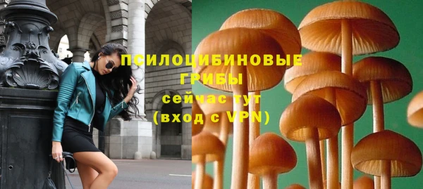 мет Снежногорск