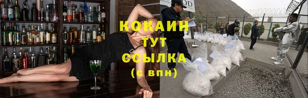 PSILOCYBIN Горно-Алтайск
