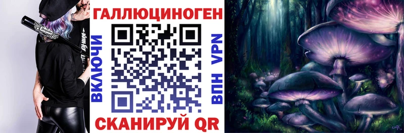 нарко площадка официальный сайт Зубцов Псилоцибиновые грибы Psilocybine cubensis