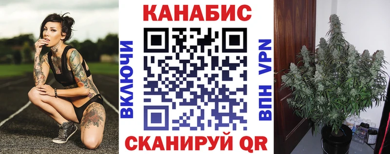 где продают   Зубцов  МАРИХУАНА OG Kush 